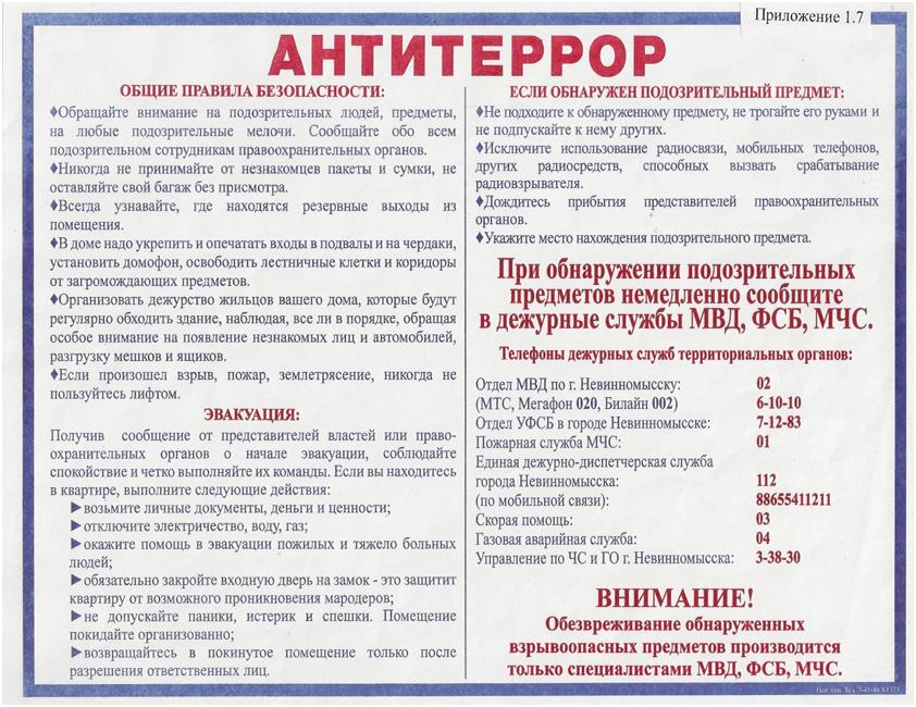 ant01.jpg